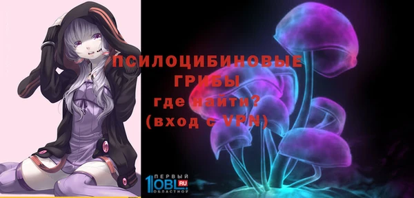 ECSTASY Балахна