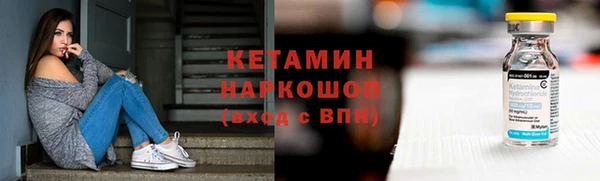 индика Пестово