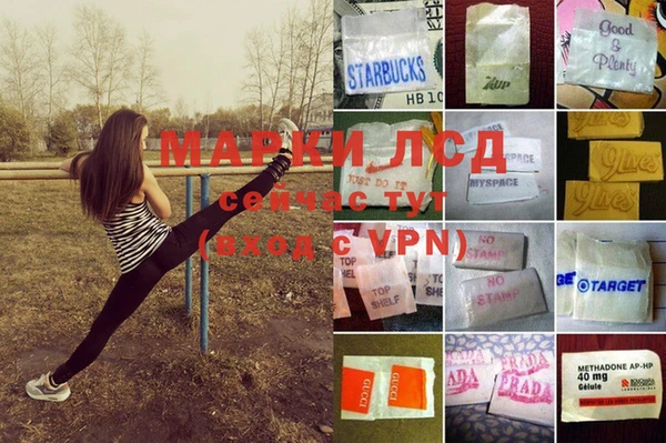ECSTASY Балахна