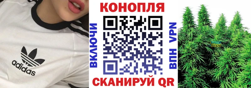 Бошки Шишки ГИДРОПОН  наркота  Чёрмоз 